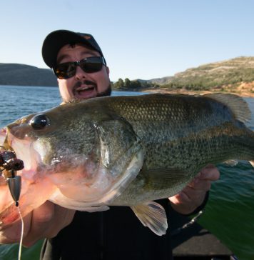 Una nueva entrada en el blog de Raul Gil: 3D Reaction Crayfish