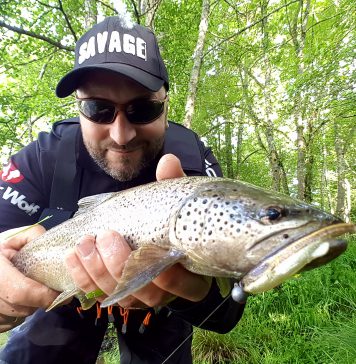 Fat T-Tail Minnow Bulk de Savage Gear, eficaz tanto en agua dulce como salada