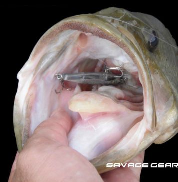 3D TWITCH MINNOW: el terror de la pesca rápida
