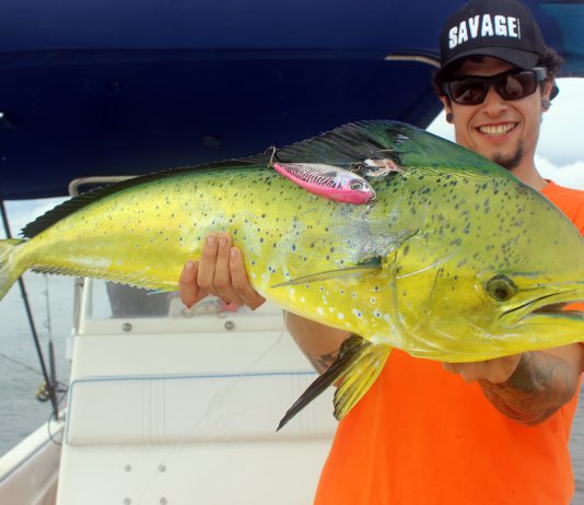 Ot Nebot en Colombia