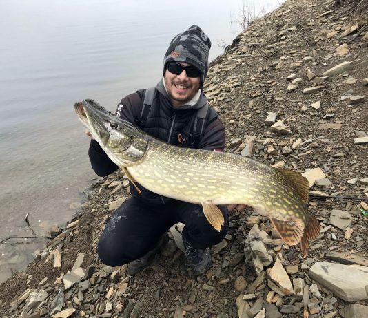 Big Pike portugués