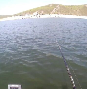 Recuerdos del verano con Adrián Hidalgo